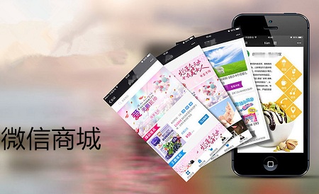 致远微商城